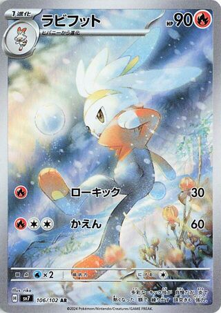 Photo 51